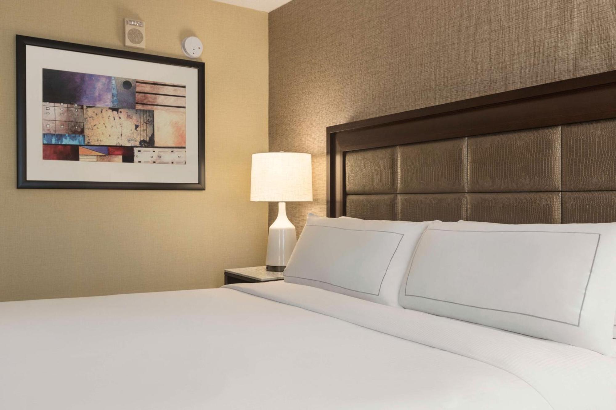 Hotel Hilton Tampa Downtown Zewnętrze zdjęcie